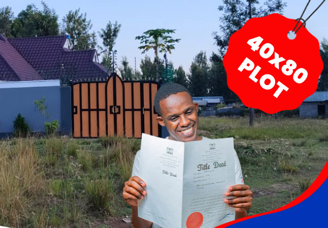 	GREEN GARDEN PHASE 3, Sofia 